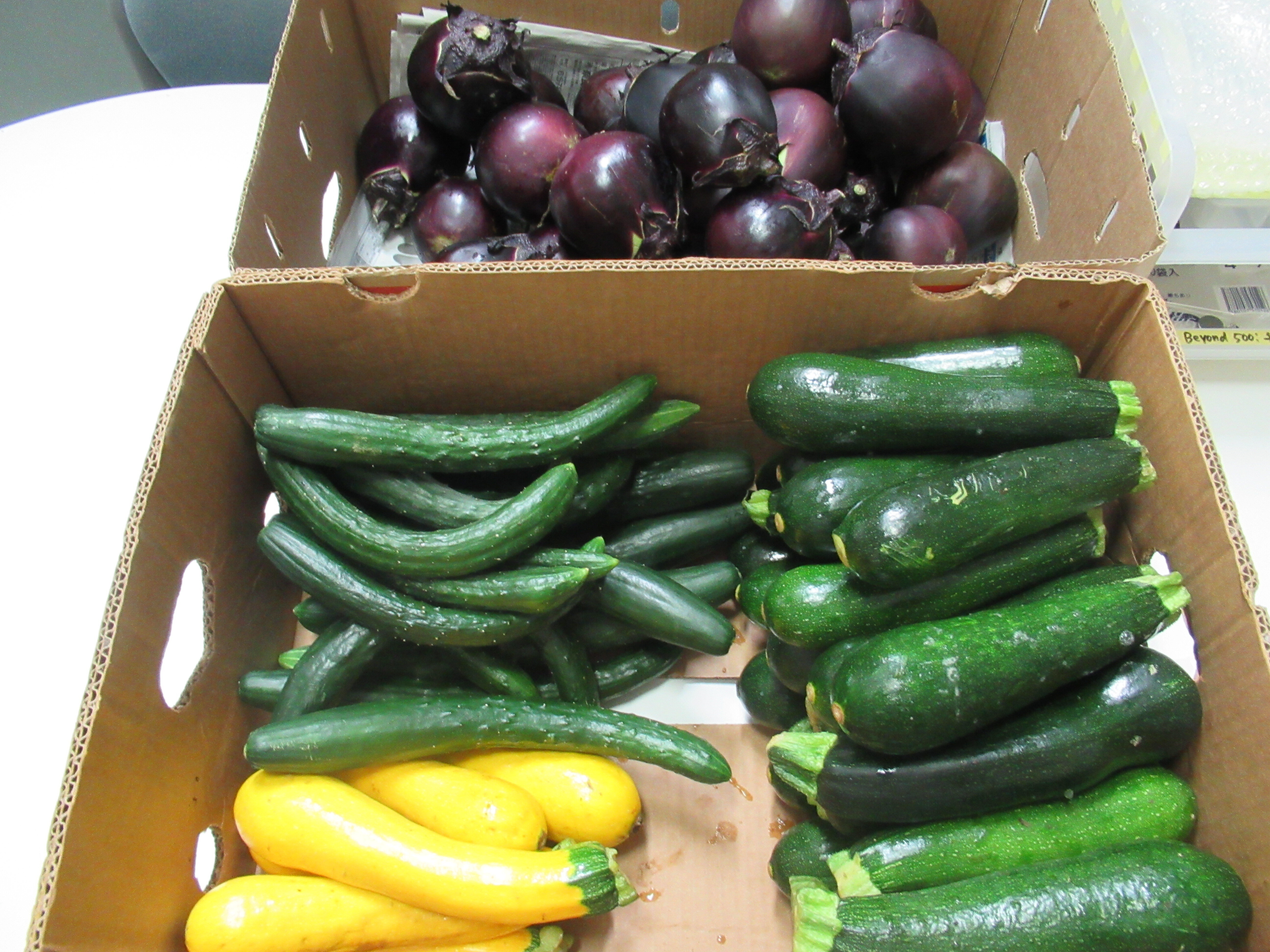 MS. Takahashi donated vegetables(Zucchini, Cucumber, Eggplant) to the international students